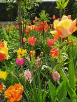 IMG_20240417_080542.webp
