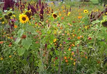 IMG_20230924_155839.webp