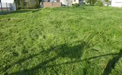 Screenshot_20251005-132423.webp