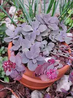 20251005_123021.webp