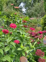 20251005_123003.webp