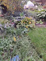 20251005_122850.webp