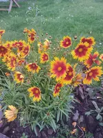 20251005_122258.webp