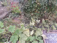 20251005_122113.webp