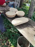 IMG_20251003_132901.webp