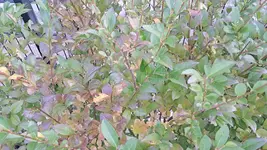 20251006_165627.webp 20251006_165627.webp