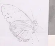2025MSchmett1a.webp