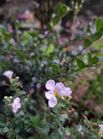 20251007_164228.webp