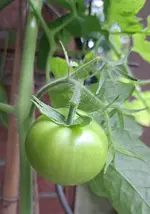 20251007_145909.webp
