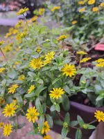 20251007_145711.webp