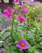 20251007_145703.webp