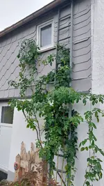 20251007_173633.webp