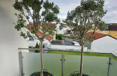 Baum1.webp