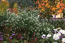 Oktober      0525.webp