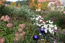 Oktober      0625.webp