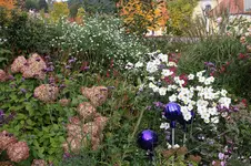 Oktober      0725.webp