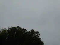 000.webp