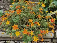 IMG_20251008_124257.webp