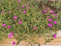 IMG_20251008_125325.webp