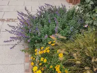 IMG_20251008_125254.webp