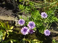 P1160020.webp