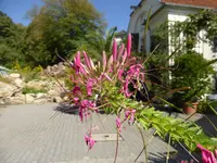 P1160027.webp