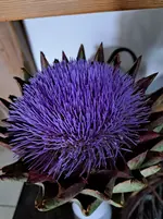 20250928_165750.webp