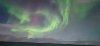 20250308_225007.webp