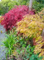 IMG_20251009_171314.webp