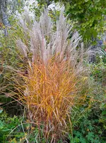 IMG_20251009_171444_1.webp