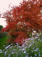 IMG_20251009_171523.webp