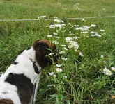 IMG_20251010_163330.webp