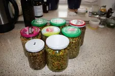 Suppengrundstock   0825.webp