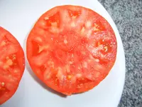 SV502097.webp