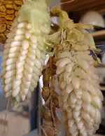 20251011_133557.webp