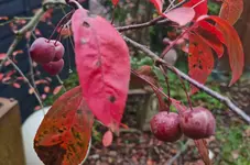 20251011_165304.webp