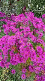 IMG_6518.webp
