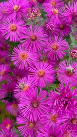 IMG_6517.webp