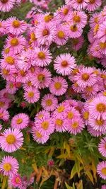 IMG_6526.webp