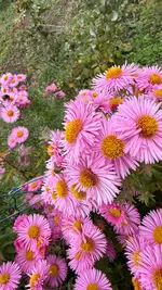 IMG_6520.webp