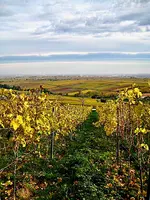 IMG_8389-Kopie(1) 2.webp