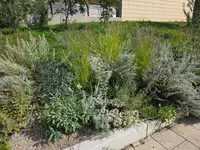 20250930_134544.webp