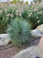 20251007_133933.webp