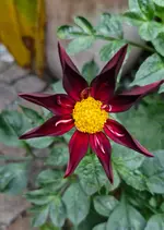 20251012_175829.webp