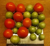 Nordglanz 2.webp Nordglanz 2.webp