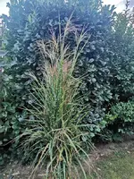 IMG_20251013_175743.webp