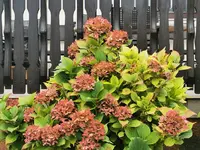 IMG_20251008_125049.webp