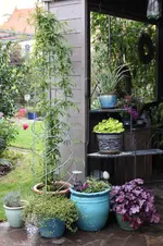 Oktober      1125.webp