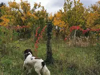 IMG_20251015_163506.webp IMG_20251015_163506.webp