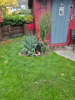 20251015_174749.webp